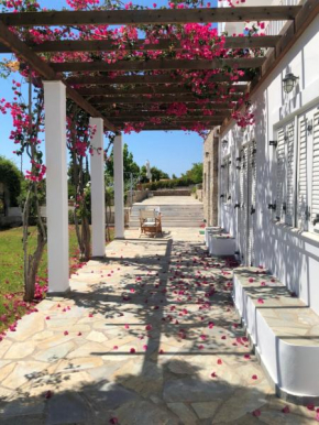 Villa Alexandros
